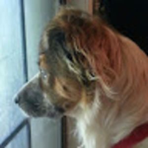 Meet your Posher, Thea